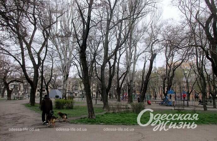 Одессит в Прохоровском сквере