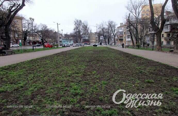 Одесса, Прохоровский сквер, аллея