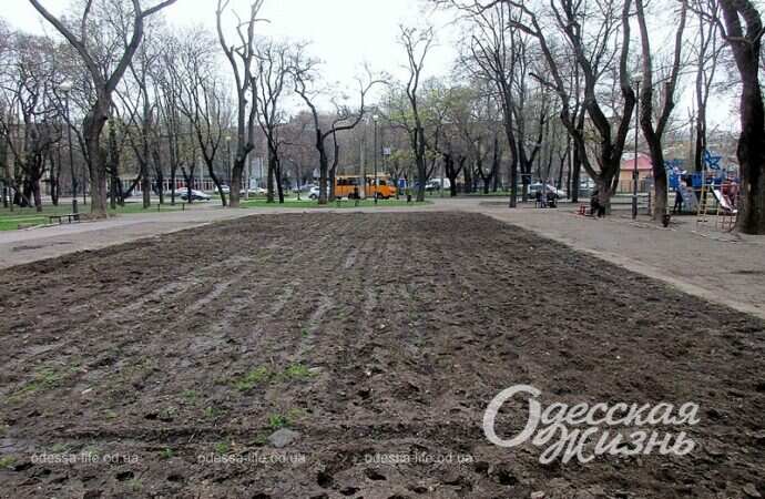 Одесский сквер, опустевшая аллея