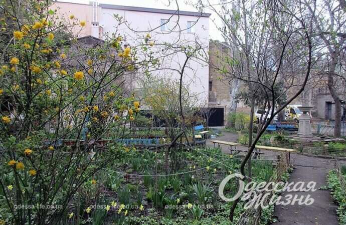 Весна в одесском дворе