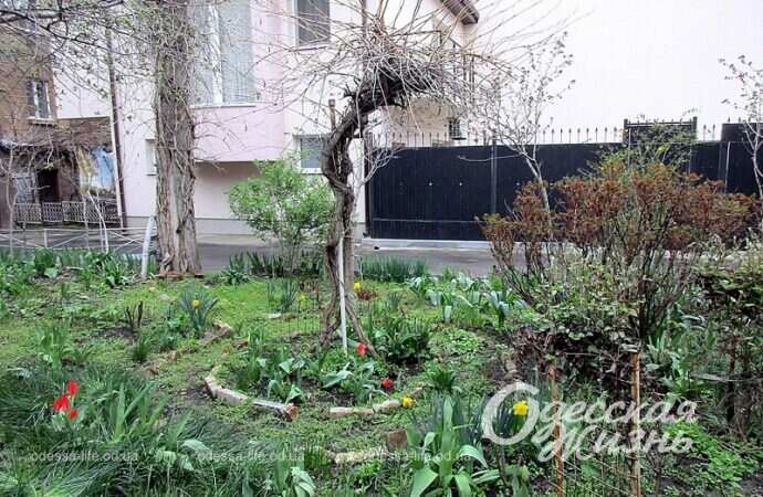 Уютный одесский дворик