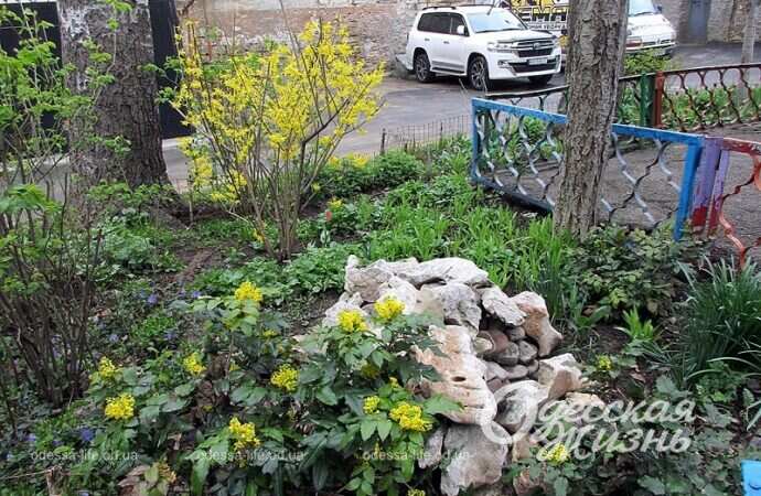 Одесский дворик, сад из камней