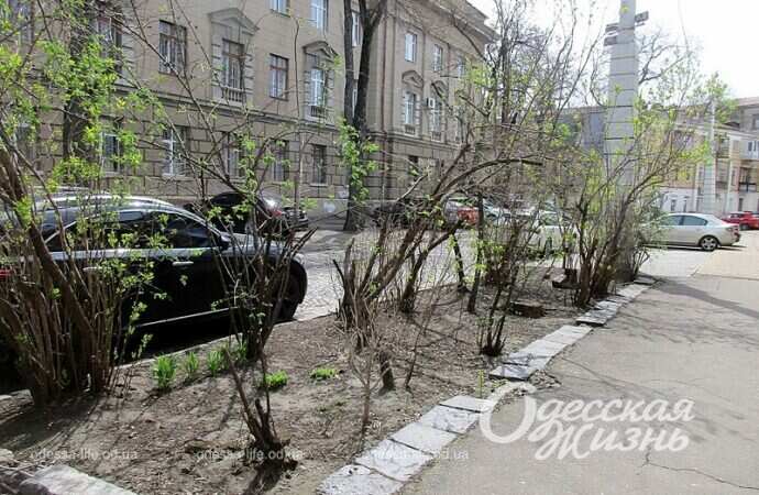 Одесса, переулок Топольского, апрель 2023