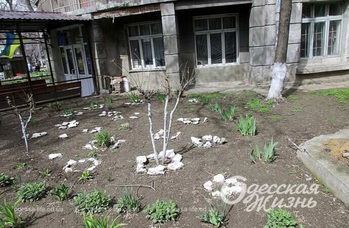 Палисадник в одесском переулке