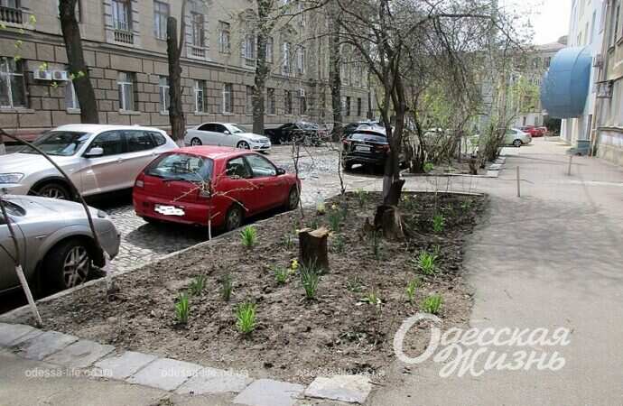 Переулок Топольского, авто на дороге