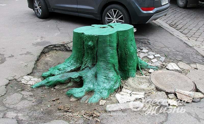 Одесские арт-объекты: зеленый пень