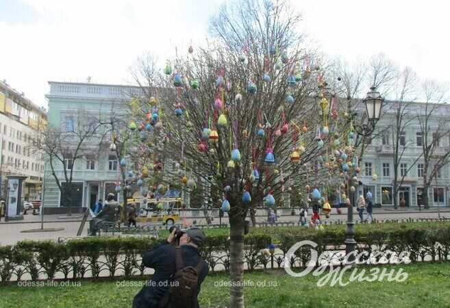 В Горсаду Одессы украсили дерево в пасхе