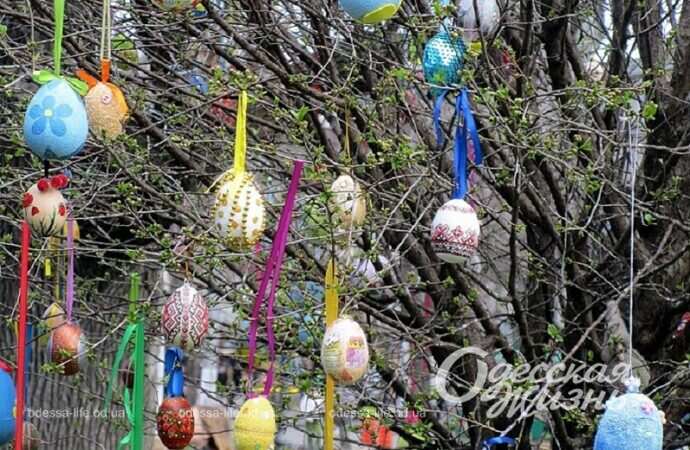 Дерево украсили писанками