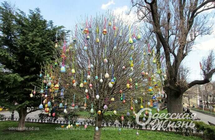 В Одесском Горсаду появилось Пасхальное дерево