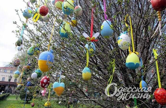 Одесские школьники нарядили дерево в Горсаду