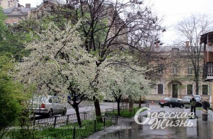 Апрель в Одессе