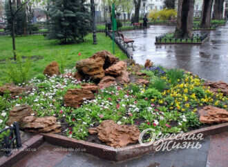 Квітень в Одесі: весняний дощ, квіти та «зеленка» (фоторепортаж)