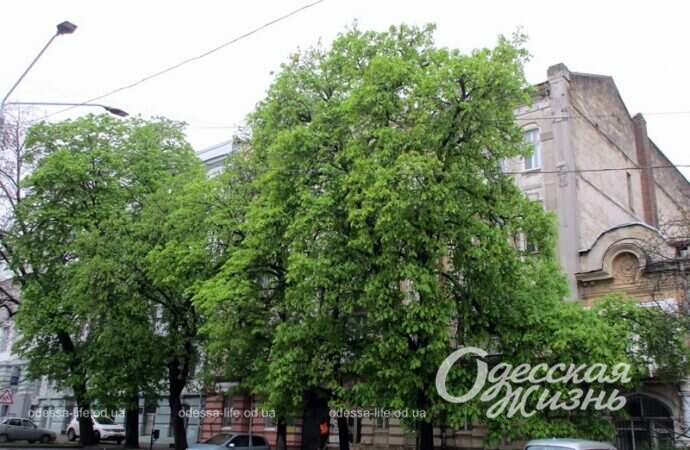 Одесса, апрель 2023 года