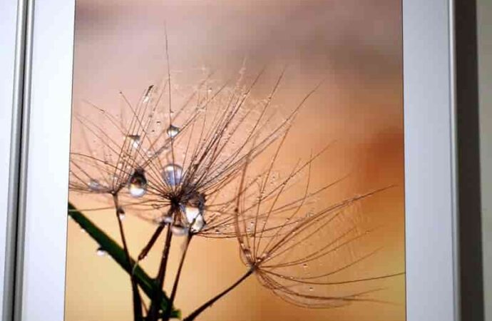 Фото одессита Дмитрия Милютина