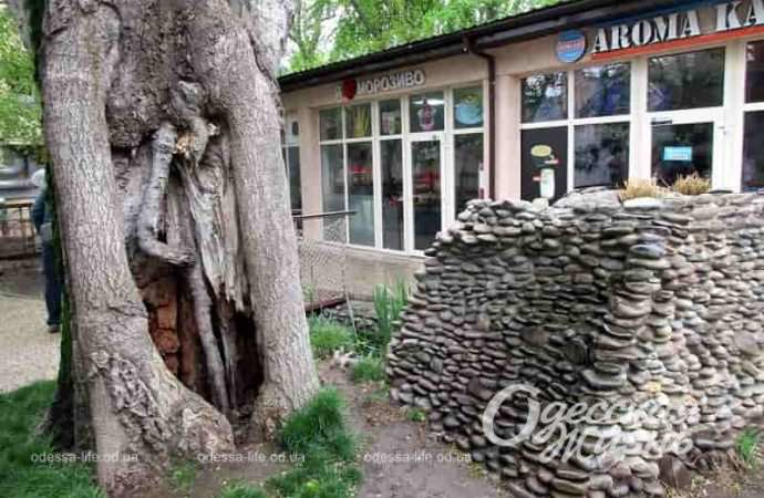 Одесса, Арома Кава