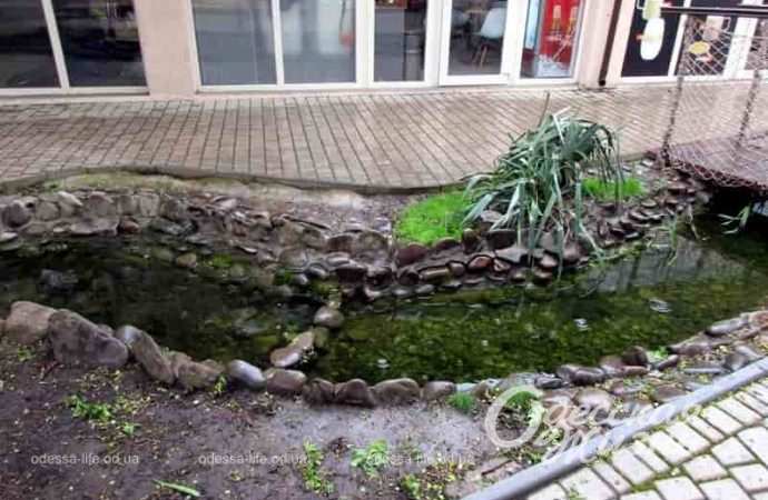 Дождливый день в Одессе