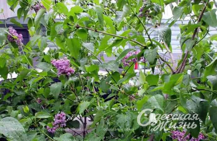 Конец апреля