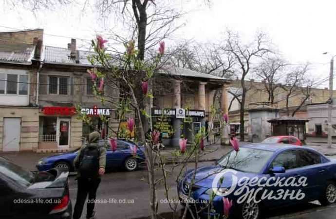 Конец апреля в Одессе