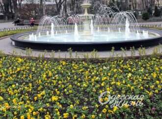 Апрельская Одесса: хмурая погода и весенние цветы (фоторепортаж)