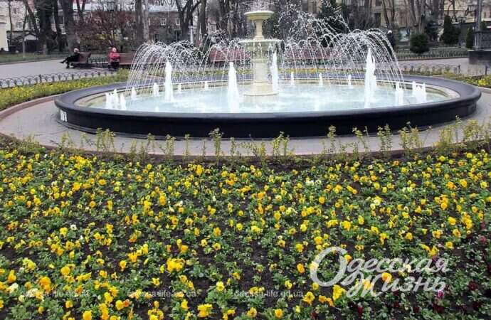 Квітнева Одеса: похмура погода та весняні квіти (фоторепортаж)