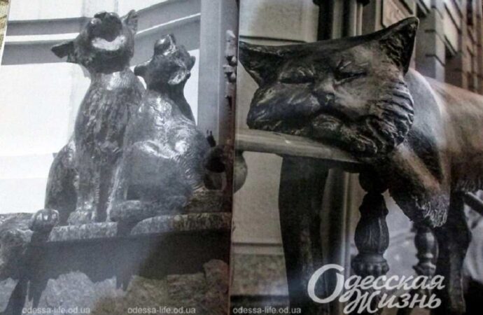 Скульптуры одесских котиков зажили новой жизнью