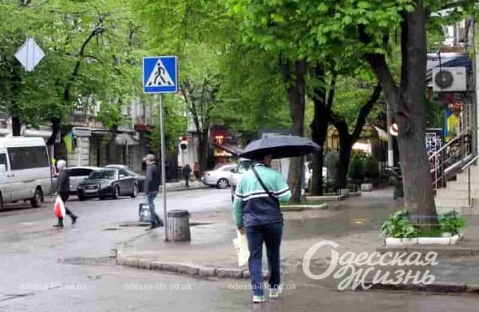 Одесса весенняя