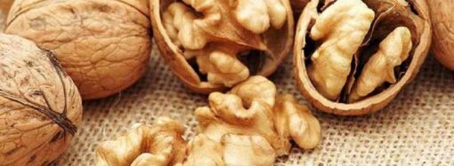 В Одессу могли завезти орехи со смертельно опасным ядом