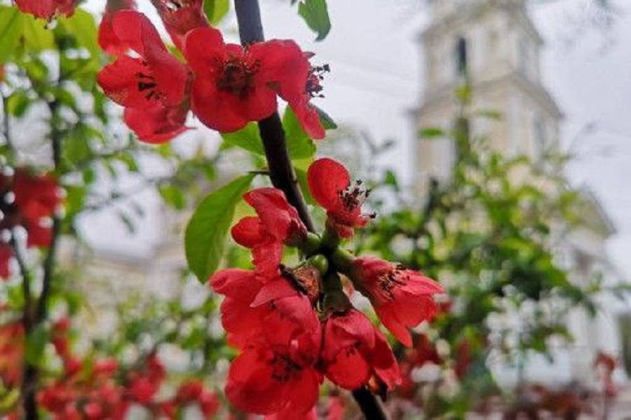 Чи зміниться в Одесі погода у неділю 19 травня