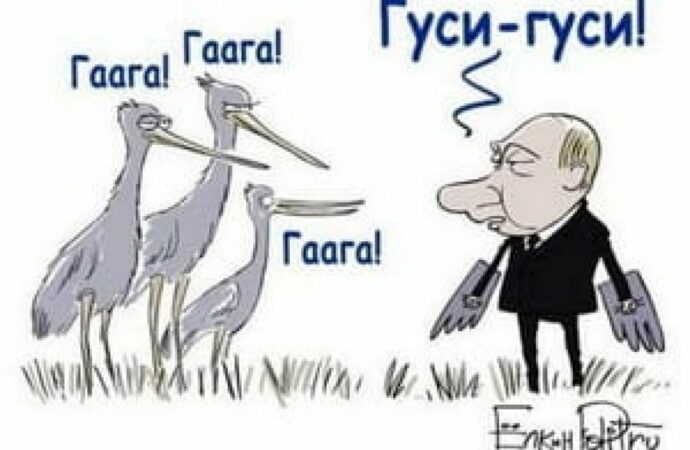 мем гуси гаага