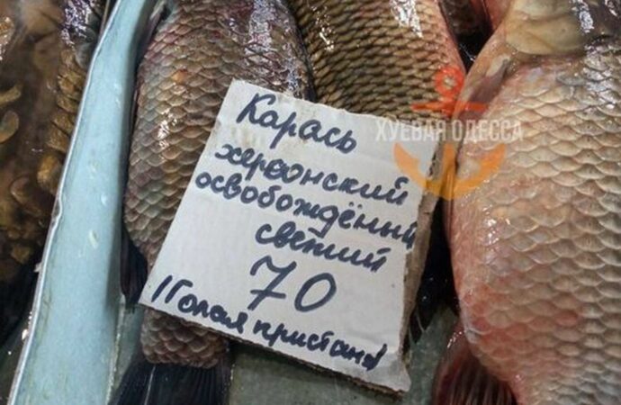 мем про Херсон и рыбу