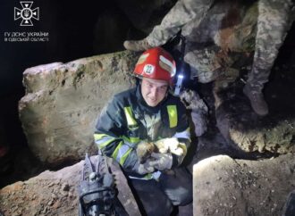 На Одещині пожежники дістали з-під завалу чотирьох цуценят