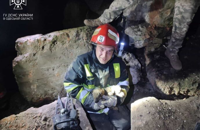 На Одещині пожежники дістали з-під завалу чотирьох цуценят