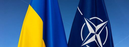 Украина в НАТО: когда вступит и что это нам даст