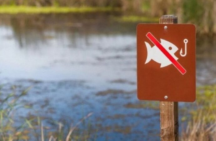 В Одесі та області заборонили ловити бичків та іншу рибу