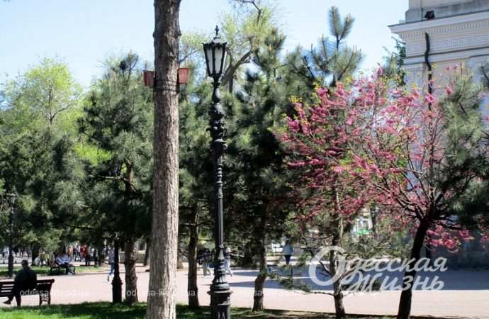 Одесса, май 2023 г.