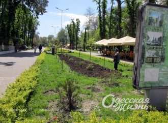 Одесский Преображенский парк: майское цветение, шахматный клуб и руины (фоторепортаж)