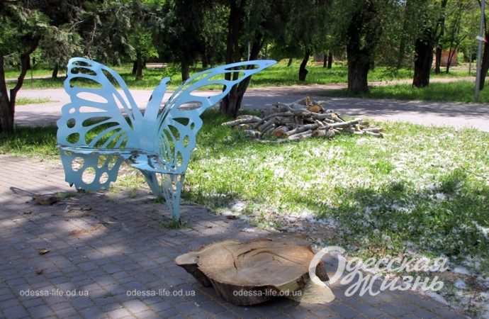 Одесский Преображенский парк, скамейка и пень