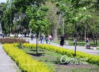 В Одесі закуплять саджанці дерев на 6 млн гривень