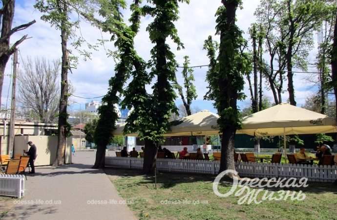 Одесский Преображенский парк, кафе