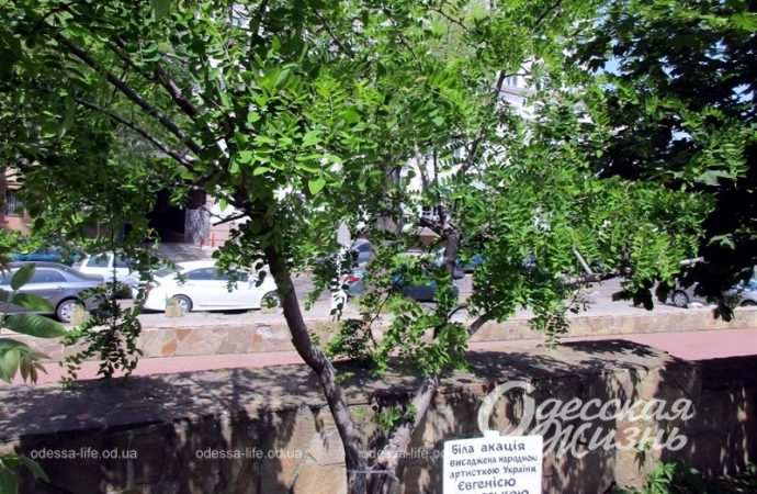 Площадь Белой акации2