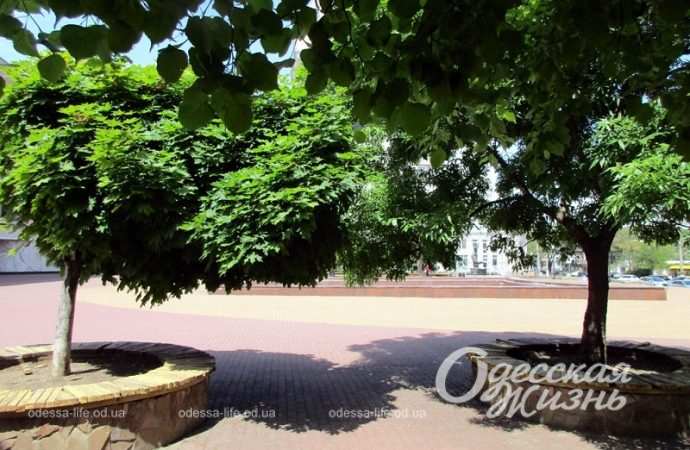 Площадь Белой акации9