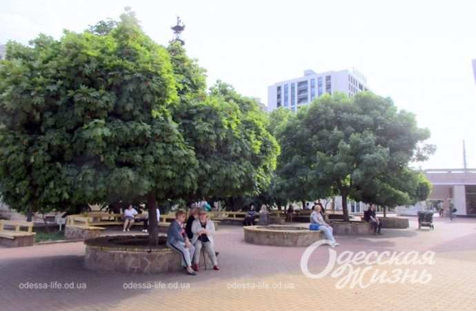 Площадь Белой акации10