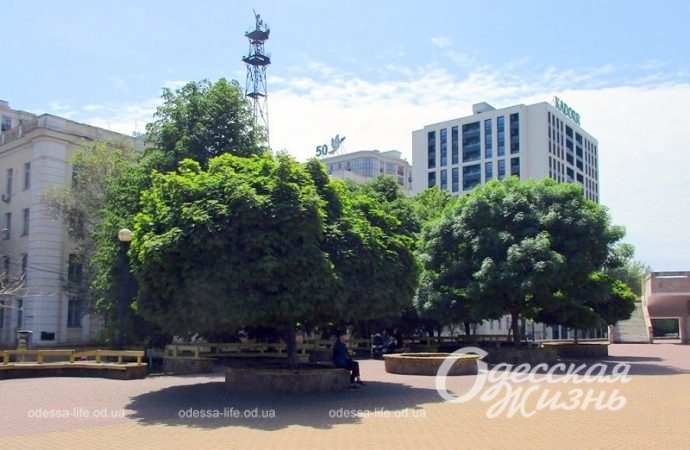 Площадь Белой акации5