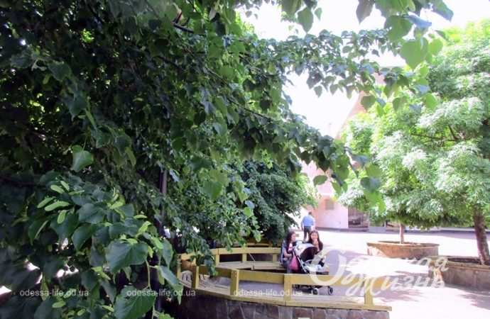 Площадь Белой акации7