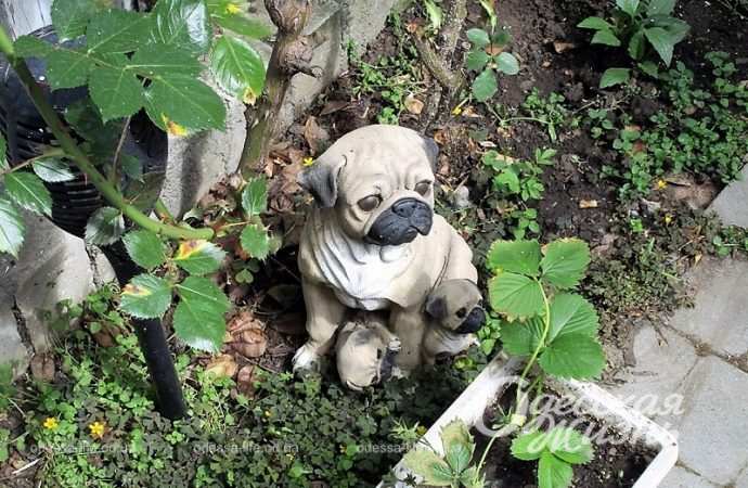 Дворовые украшения