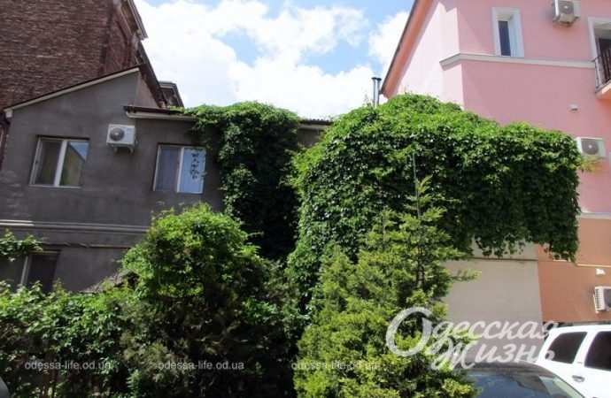Одесские дворики, май 2023