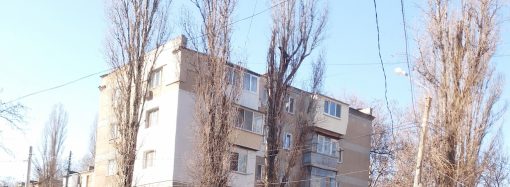 Древопад в Одессе: зри в корень (фото)
