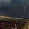 Погода в Одесі: на 25 липня оголосили штормове попередження