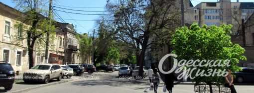 Бывшая Кривая: как поживает сегодня одесская улица Асташкина