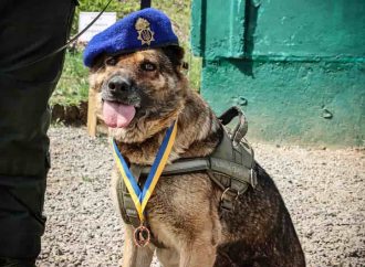 Собаку одесских гвардейцев удостоили почетной награды (фото)